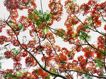 业内人士确认《守望先锋》手游版正在开发中